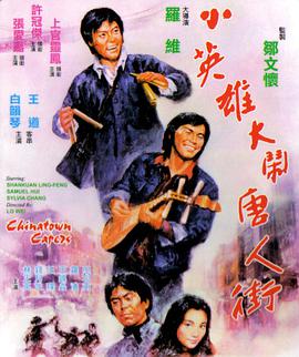 《夫妇联欢回不去的夜晚》海报